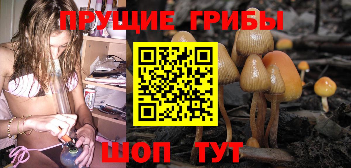 Псилоцибиновые грибы MAGIC MUSHROOMS Саяногорск